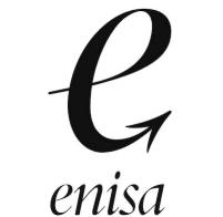 ENISA líneas de financiación